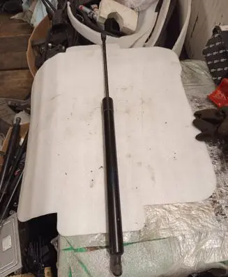 Tailgate/trunk strut/damper
