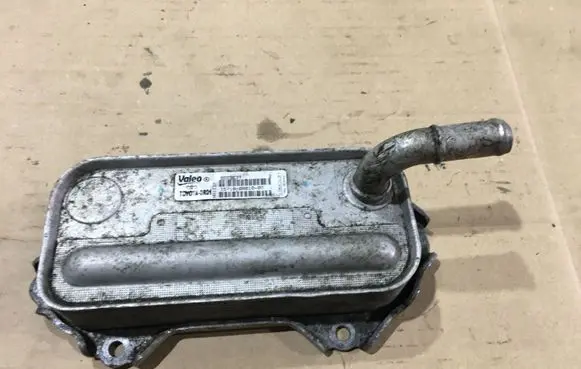 Toyota RAV 4 (XA30) Engine oil radiator 157100R01000