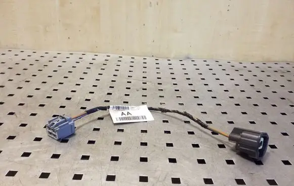 Other wiring loom