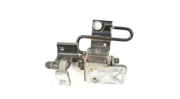 Porsche Cayenne (9PA) Rear door lower hinge