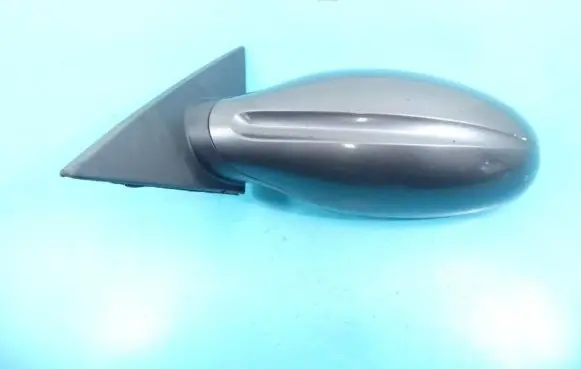 Nissan Altima Front door electric wing mirror IMPRK1098004