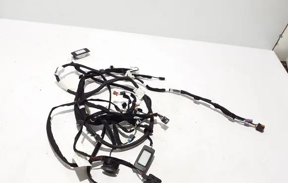 Renault Megane E-Tech Other wiring loom 241607348R