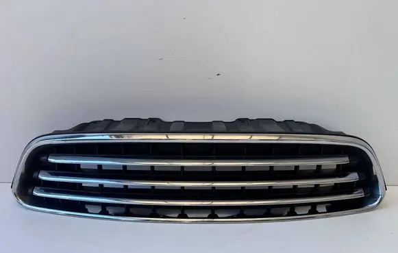 Mini Cooper Countryman R60 Front bumper upper radiator grill 224059