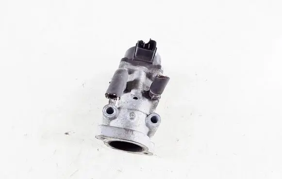 Mitsubishi Pajero EGR valve