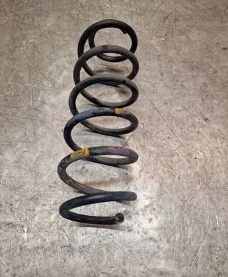 Rear coil spring