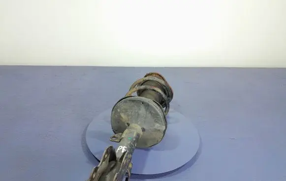 Toyota Prius (NHW20) Front shock absorber/damper