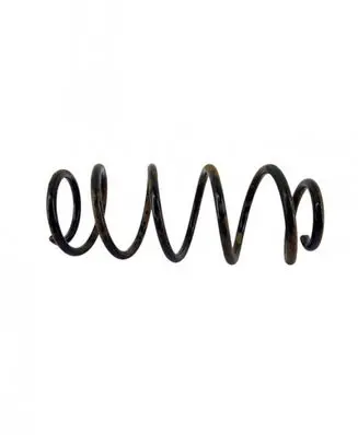 Peugeot 407 Front coil spring
