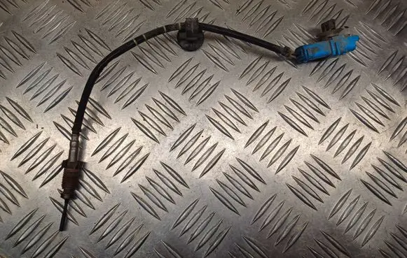 Renault Scenic II - Grand scenic II Exhaust gas temperature sensor 8200406035