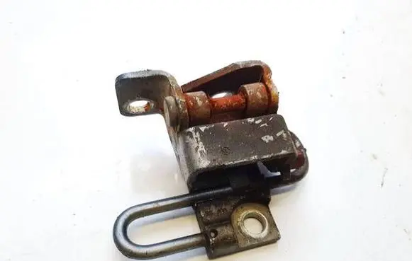 Rear door lower hinge