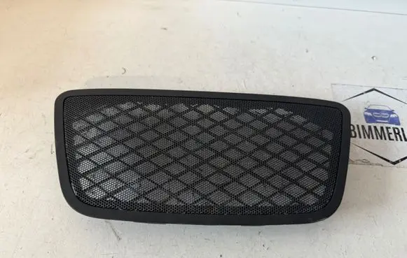 BMW X3 F25 Dash center speaker trim cover 9302553 105385620C