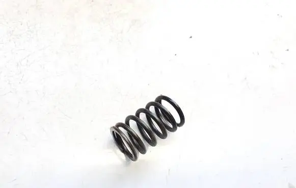 Volkswagen PASSAT B6 Valve spring 