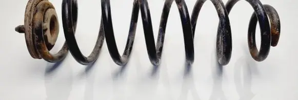 Volkswagen PASSAT B6 Rear coil spring