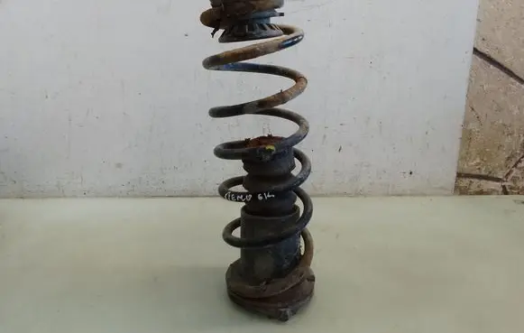 Rear coil spring