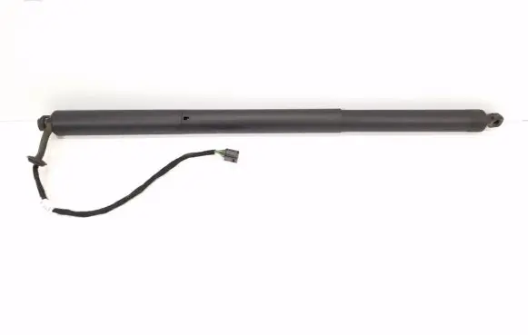 Tailgate strut