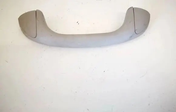 Front interior roof grab handle