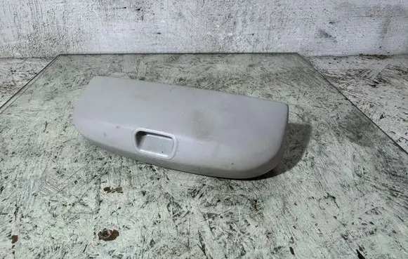 Mercedes-Benz B W245 Sunglasses storage box A1698100041