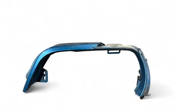 Rear/tail light trim molding