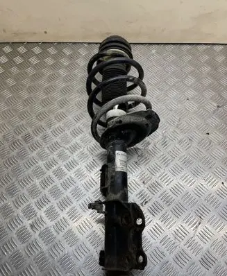 Mercedes-Benz Vito Viano W639 Front shock absorber/damper 311645 051700002938