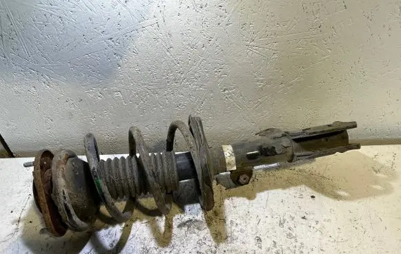 Toyota Corolla Verso AR10 Front shock absorber/damper