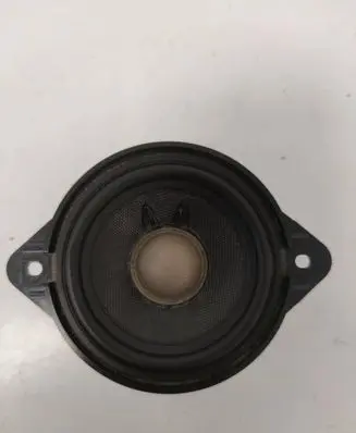Panel speaker