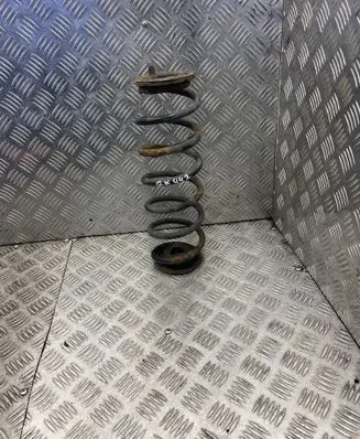 Rear coil spring