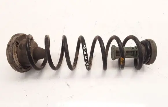 Renault Megane II Rear coil spring