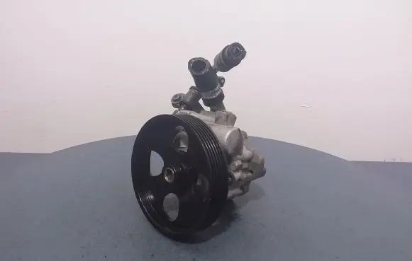 Citroen C5 Power steering pump ZJCT-012