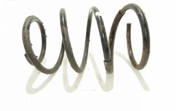 Front coil spring