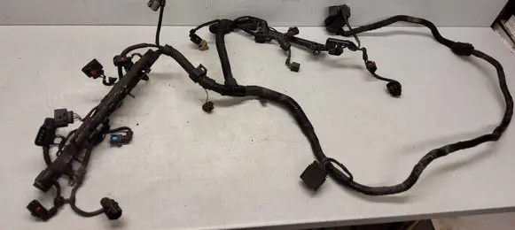 Volkswagen Golf V Engine installation wiring loom 1J0973722 1J0973704 1J0973724