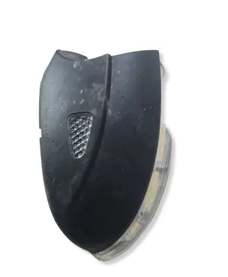 Volkswagen PASSAT B7 Mirror indicator light 544241