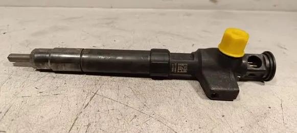 Ford Kuga II Fuel injector 28388960 9674984080