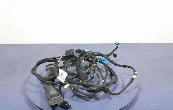 BMW X7 G07 Other wiring loom 8779803