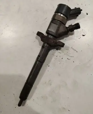 Citroen Berlingo Fuel injector 0445110239