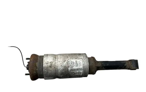 Land Rover Range Rover Sport L320 Air suspension front shock absorber AH3218B036BC 22249855