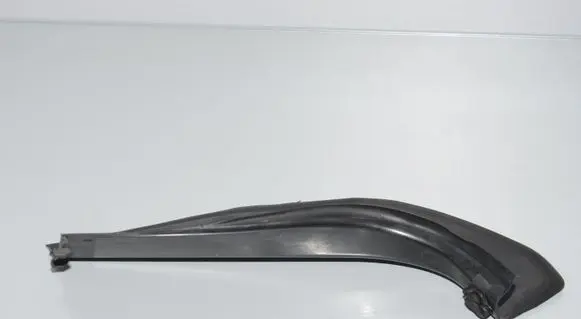 Rear/tail light trim molding