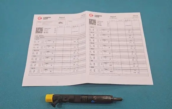 Renault Clio III Fuel injector EJBR05102D IMPRK1494533