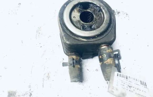 Peugeot 307 Engine oil radiator 