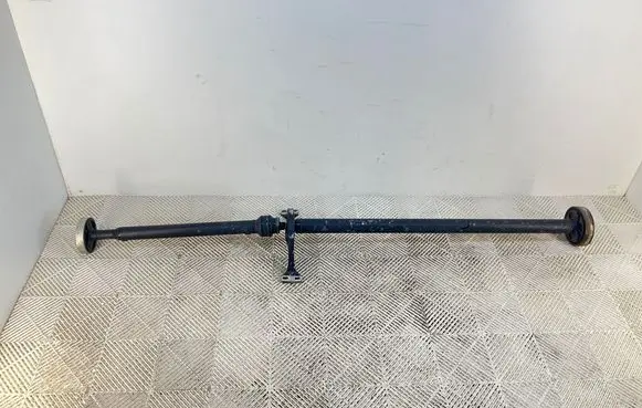 Volkswagen Tiguan Drive shaft (set) 
