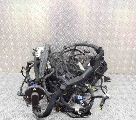Maserati Ghibli Other wiring loom 06700086490 670008649