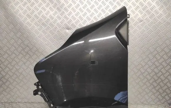 Renault Trafic III (X82) Fender