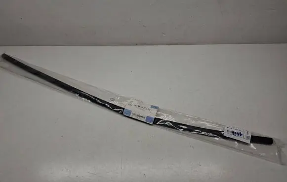 BMW X6 G06 Rubber seal front door (on door) 5B68FC5 51765B68FC5