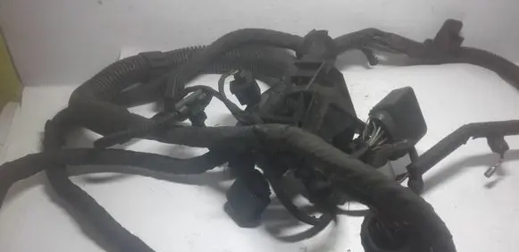 Engine installation wiring loom