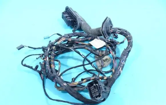 BMW X5 E70 Front door wiring loom 924207401 IMPRK1253489
