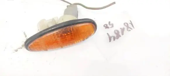 Front fender indicator light