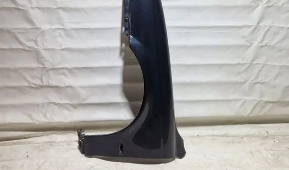 Fender