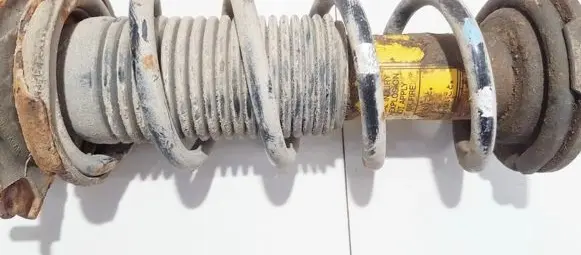 Subaru Legacy Rear coil spring