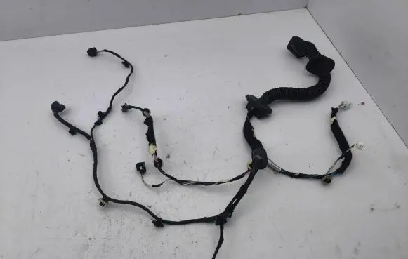 Renault Zoe Front door wiring loom 241251219R
