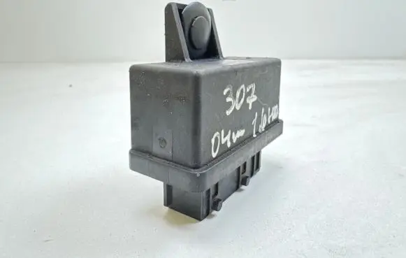 Peugeot 307 Fuel injection pump control unit/module 240107