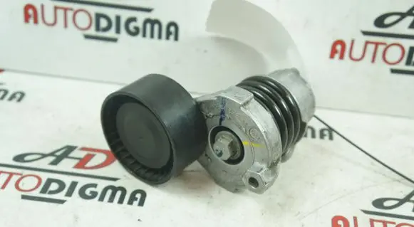 Nissan Qashqai Alternator belt tensioner 117506193R