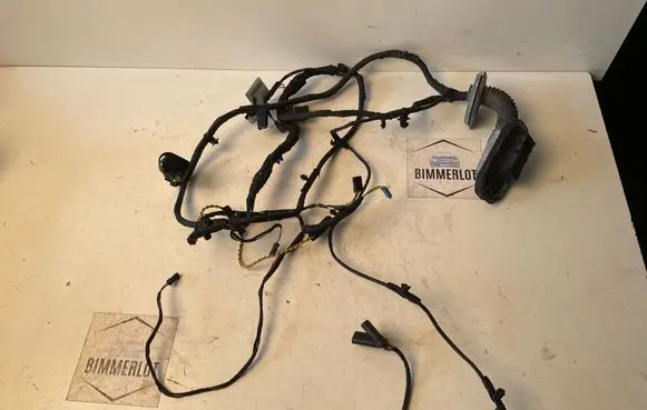 BMW 6 F06 Gran coupe Rear door wiring loom 9255415